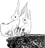 An ink illustration of two rabbits looking curiously over their shoulders