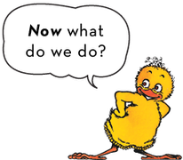 A yellow duck with hands on its hips saying, 