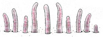 an illustration of ten pink worms wiggling out of the ground